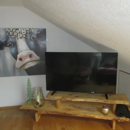 Haus Steininger * Schluchsee