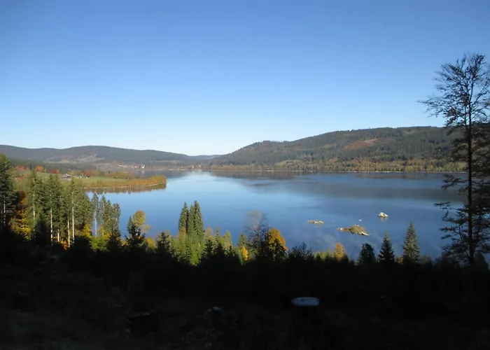 Haus Steininger Apartamento Schluchsee